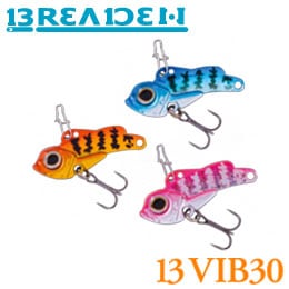 �֥꡼�ǥ� Bee�Х���30