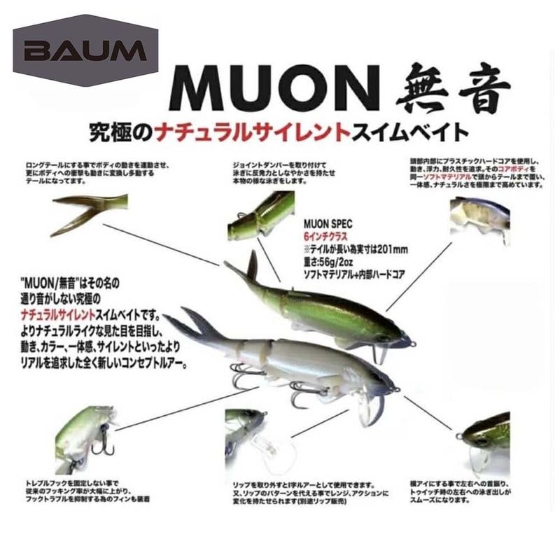 BAUM MUON