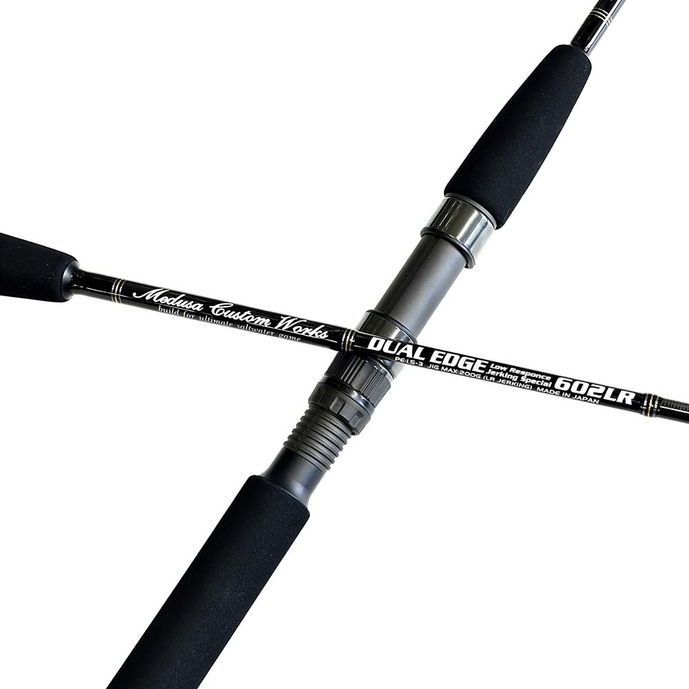 MC�������DUAL EDGE602LR STDmodel