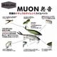 BAUM MUON