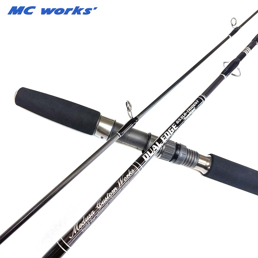 MC�������DUAL EDGE653LR -TRIDENT SPmodel