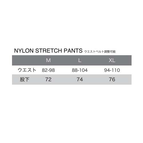 ELECTRIC NYLON STRETCH PANTS