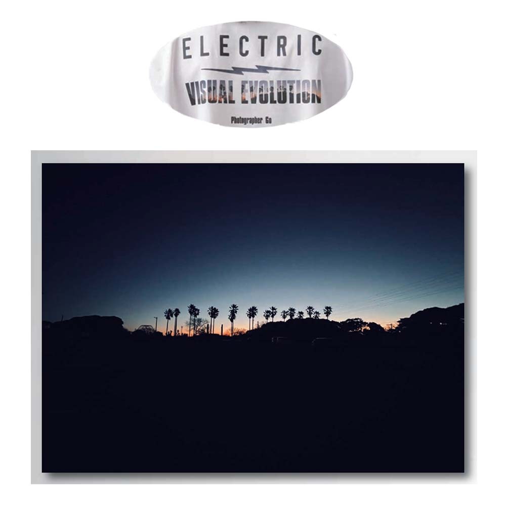 ELECTRIC��PHOTOGRAPHER GO #5 DRY L/S TEE (PALMTREE)