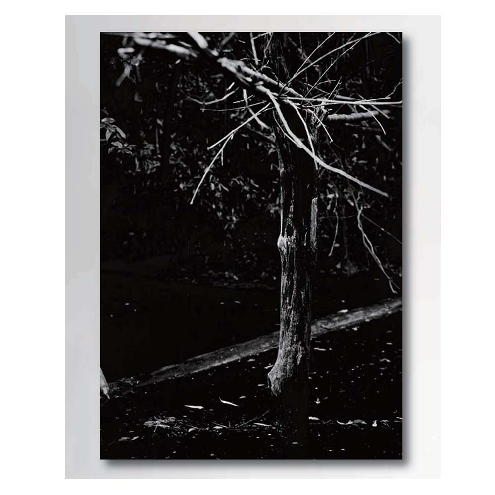 ELECTRIC��PHOTOGRAPHER GO #4 DRY S/S TEE (TREE)