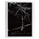 ELECTRIC��PHOTOGRAPHER GO #4 DRY S/S TEE (TREE)