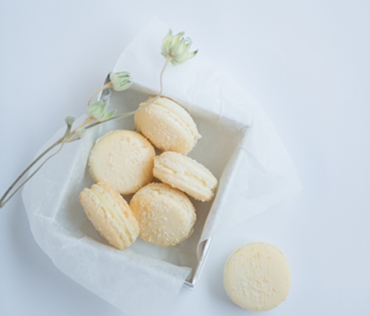 マカロン20個入【クール便】