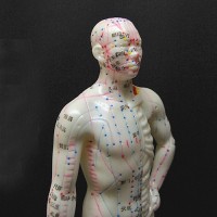 鍼灸 針灸 按摩 人体ツボ 模型 男性 小|その他|中国工芸/音楽/雑貨