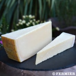 グラナ パダーノ 1kg