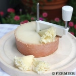 テット ド モアンヌ モンターニュ【1/2カット～】