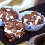 クロタン レザン