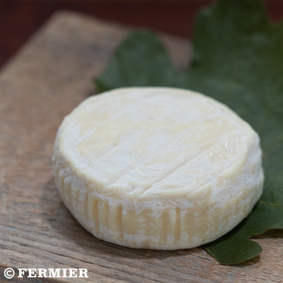 三良坂フロマージュ　ド　みらさか　牛乳【ご予約品　3/13発送　: 　ご注文〆切 2/26　AM8時】