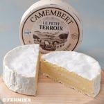 カマンベール パストリゼ<br>/プティ テロワール 250g（GILLOT）