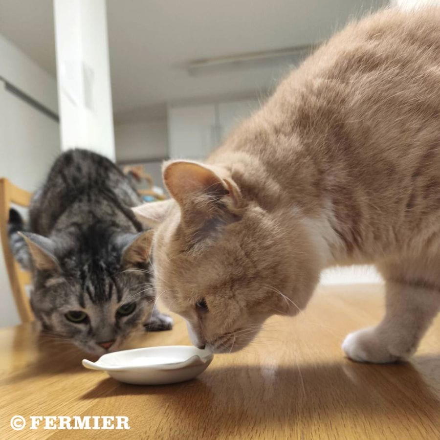 【ご予約受付中 ※次回11月下旬入荷予定】<br>養沢ヤギ牧場のヤギミルク<br>（犬・猫用）＜冷凍便お届け＞