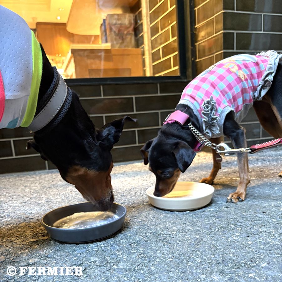 【ご予約受付中 ※次回11月下旬入荷予定】<br>養沢ヤギ牧場のヤギミルク<br>（犬・猫用）＜冷凍便お届け＞