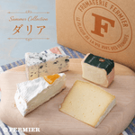 Summer Collection　ダリア