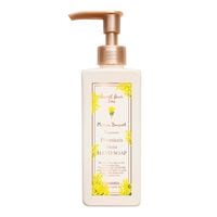 フレグランスプレミアムハンドソープ（ミモザブーケ）/Fragrance