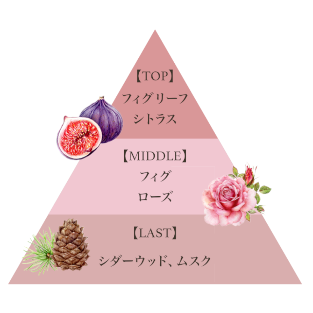 リッチオーデコロン（フィグヴェール）/Rich Eau de Cologne (FIG VEIL