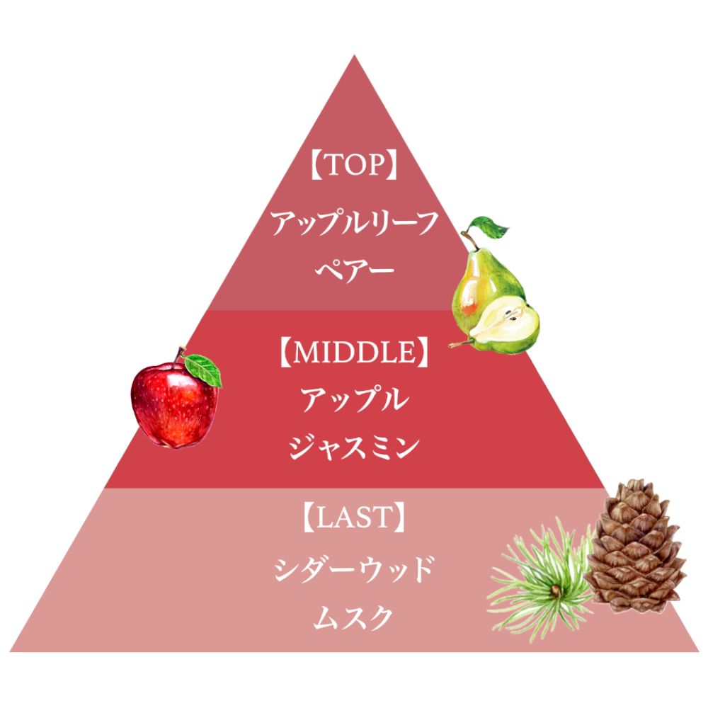 フレグランスプレミアムボディソープ（リンゴ）/Fragrance Premium Body Soap (RINGO)