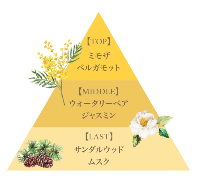 ボディスプラッシュ＋ミニリッチハンドクリームギフトセット（ミモザ