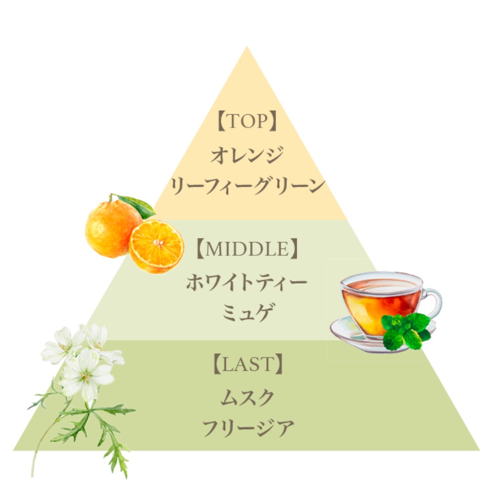 フレグランスアロマディフューザー80ml(ホワイトティー)/Fragrance Aroma Diffuser 80ml(White Tea)