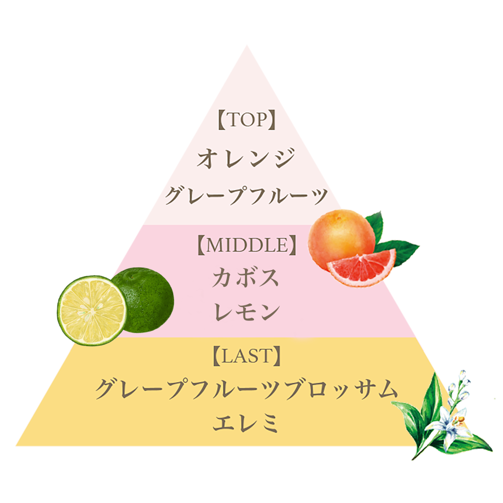 フレグランスアロマディフューザー80ml（ピンクグレープフルーツ）/Fragrance Aroma Diffuser 80ml (Pink Grapefruit)