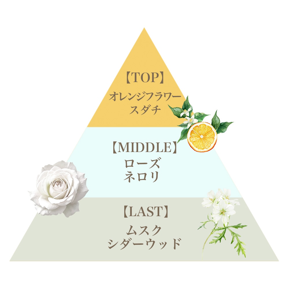 オードパルファム12.5ml（ボニーレイズ）/Eau de Parfum 12.5ml (Bonny Rays)