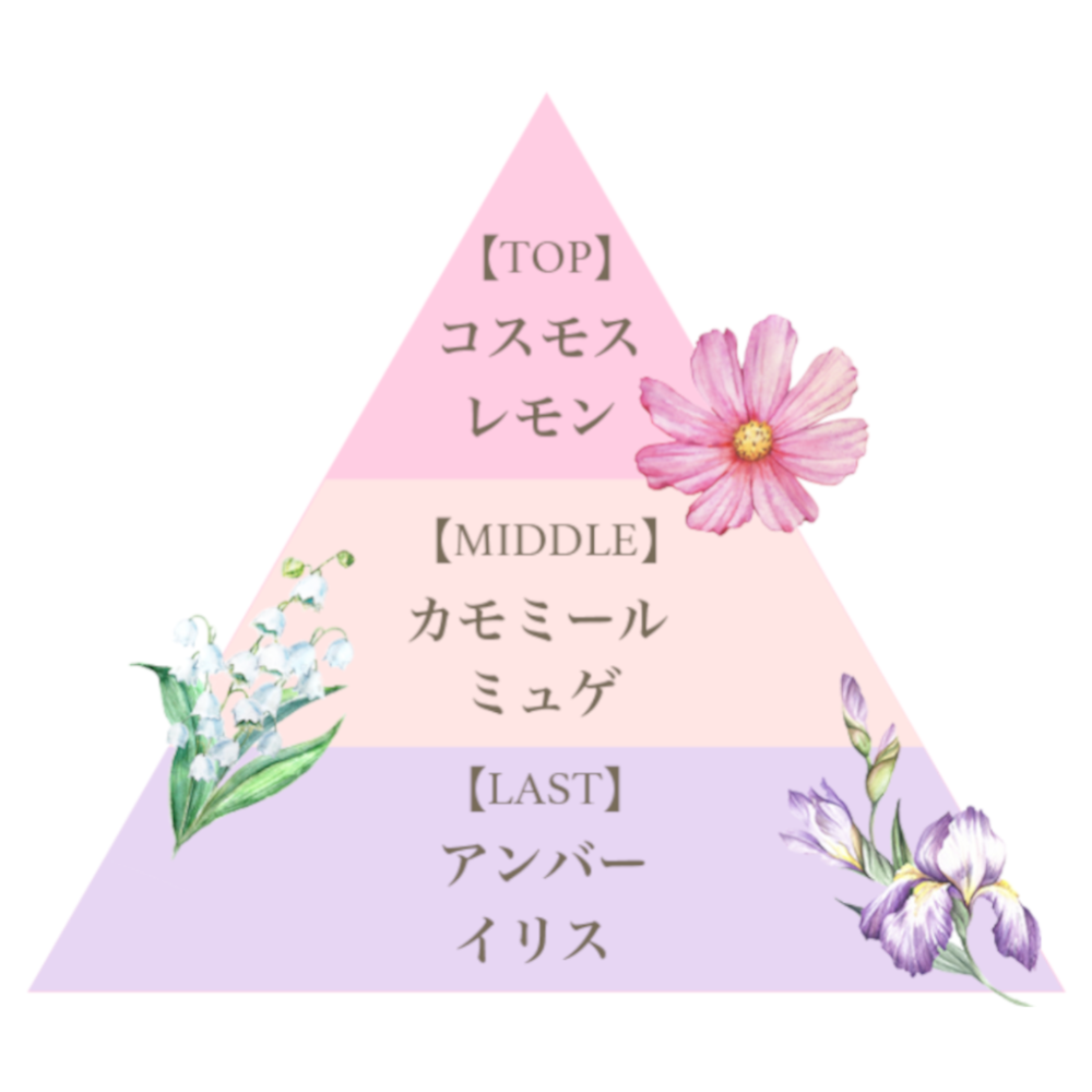 フレグランスプレミアムボディソープ（ピンクコスモス）/Fragrance Premium Body Soap (Pink Cosmos)