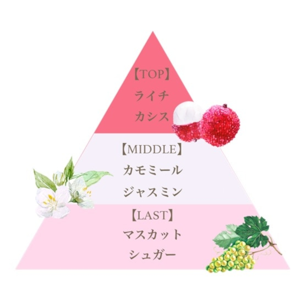 フレグランスアロマディフューザー210ml（ライチ）/Fragrance Aroma Diffuser 210ml (Lychee)