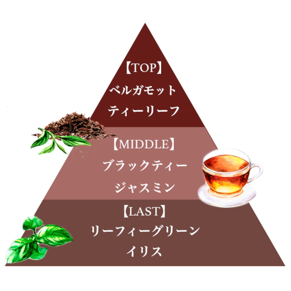 フレグランスアロマディフューザー80ml（ブラックティー）/Fragrance Aroma Diffuser 80ml (Black tea)