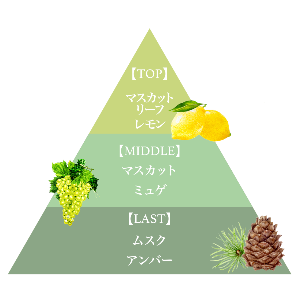 フレグランスボディスプラッシュ（マスカット・オブ・アレキサンドリア）/Fragrance Body Splash (Muscat of Alexandria)