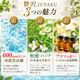 炭酸足湯入浴料　贅沢JUYAKU（じゅうやく）（お得用　50回セット）【送料無料】