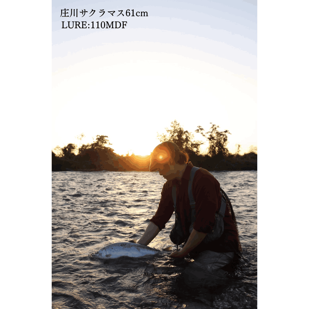 モノクローム Monochrome 110MDF 12/16在庫販売】Monochrome 110MDF / モノクローム 110MDF（長良鮎