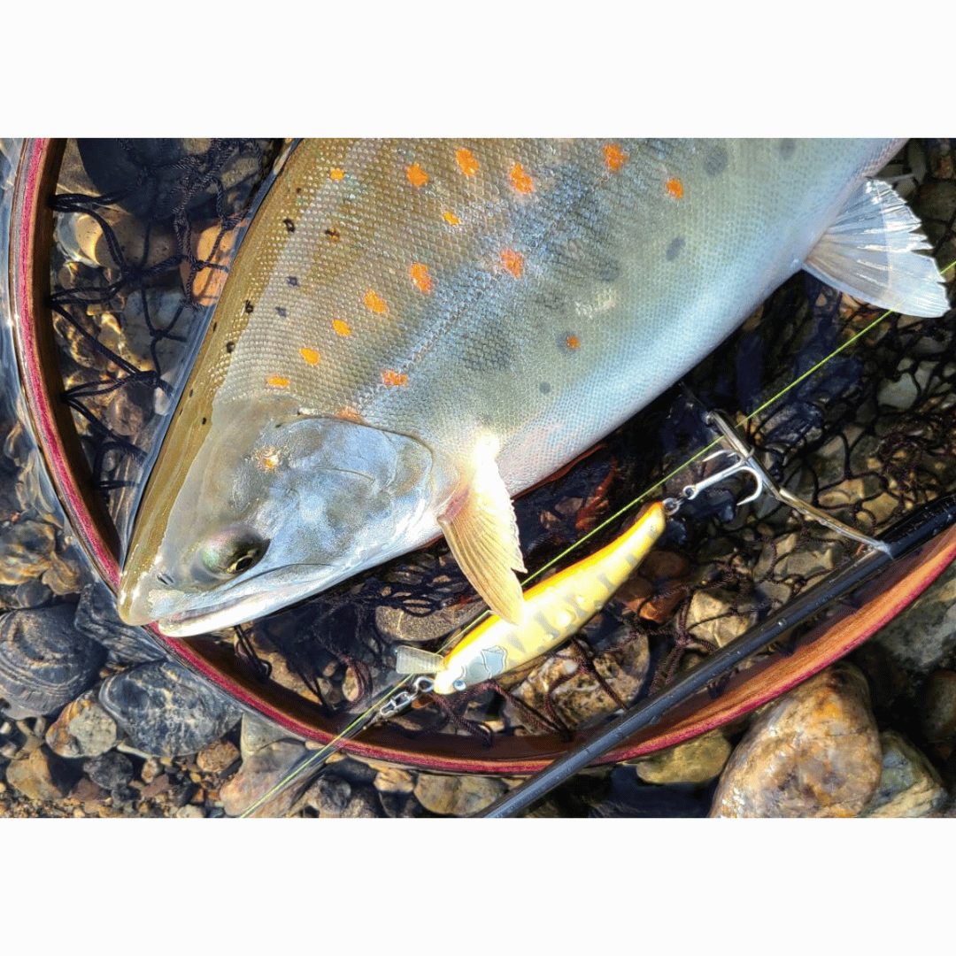 【5/10在庫販売】麗'sミノー75S　キャンディー緑金オーロラパーヤマメ（麗's Lure Craft）