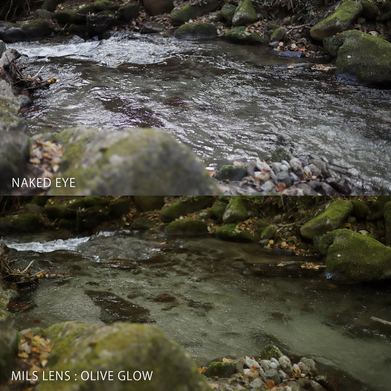VULCAN　OLIVE GLOW LENS（アフターグロー）