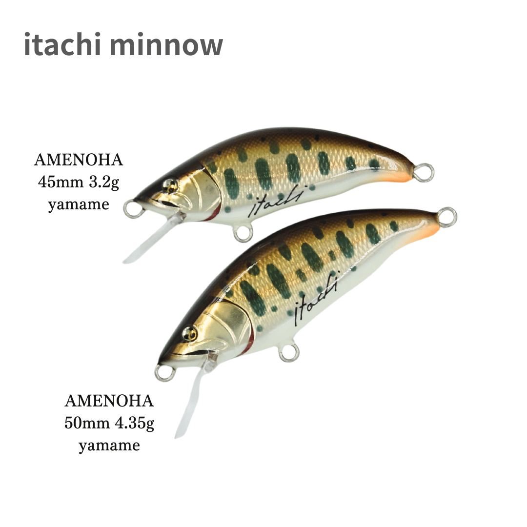 1000pt保有者対象】 itachi minnow AMENOHA | itachi minnow