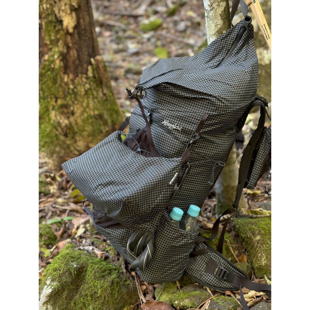 COL POUCH LARGE （アフターグロー）