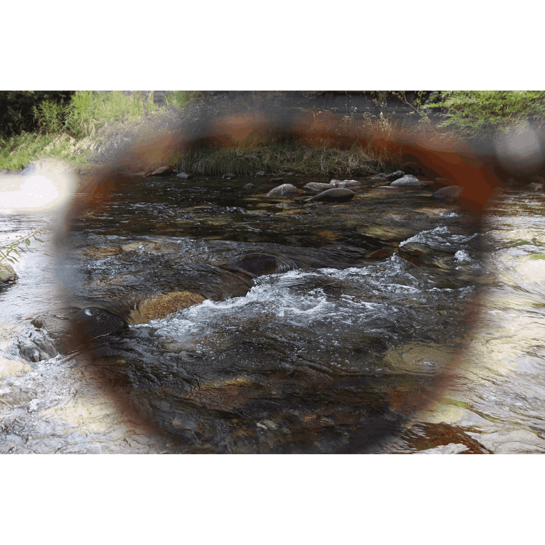 OWL MILS 【 owl classic 】Frey CL-001 ／ 【アウルクラシック