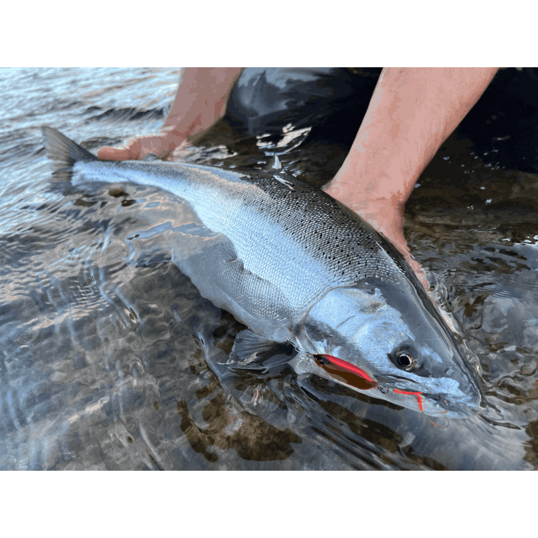 REEWAY JIG 12g（クマタニトラスト）