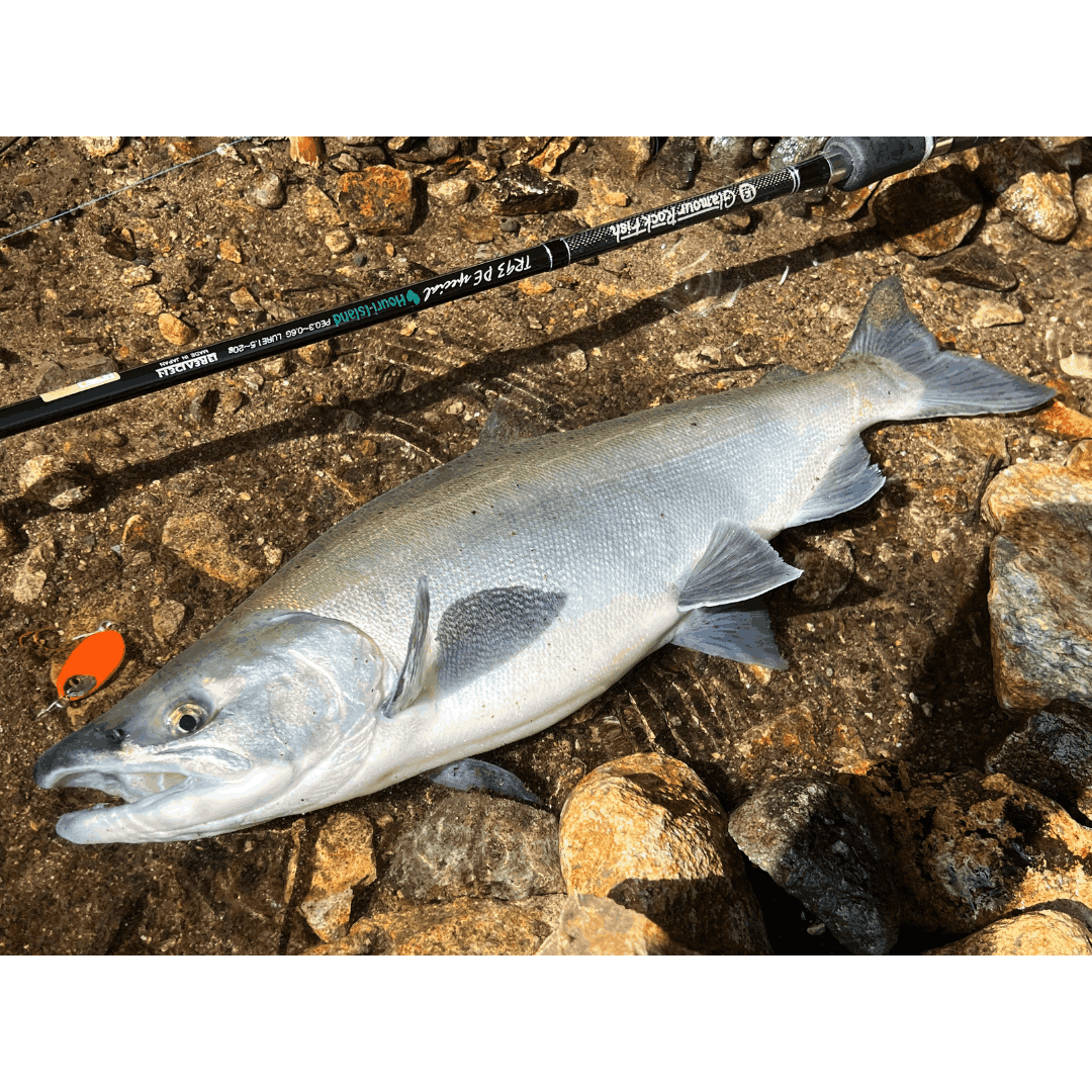 REEWAY JIG 12g（クマタニトラスト）