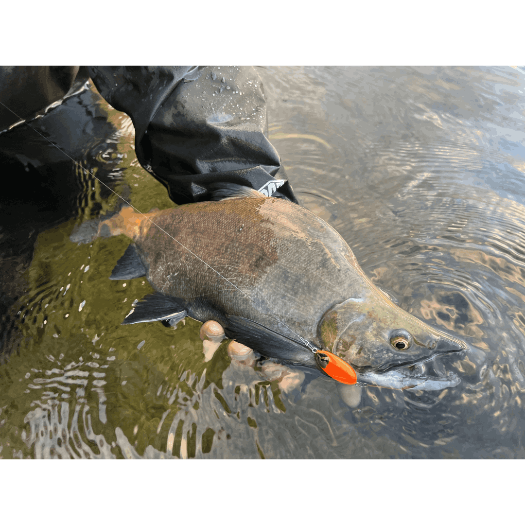 REEWAY JIG 12g（クマタニトラスト）