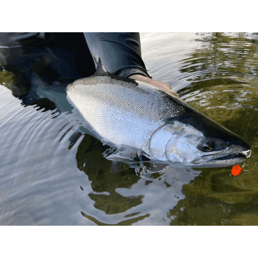 REEWAY JIG 12g（クマタニトラスト）