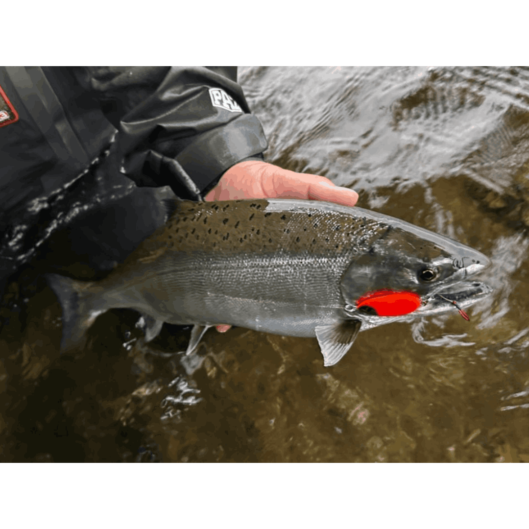 REEWAY JIG 12g（クマタニトラスト）