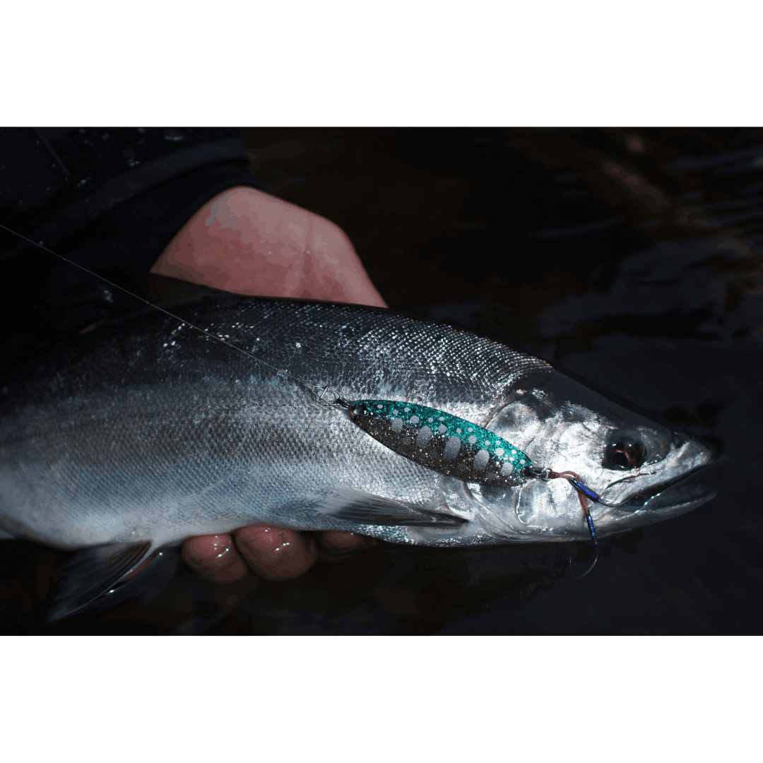 MCオリカラ】クマタニトラスト Sublime Spoon 12g ／ サブライム