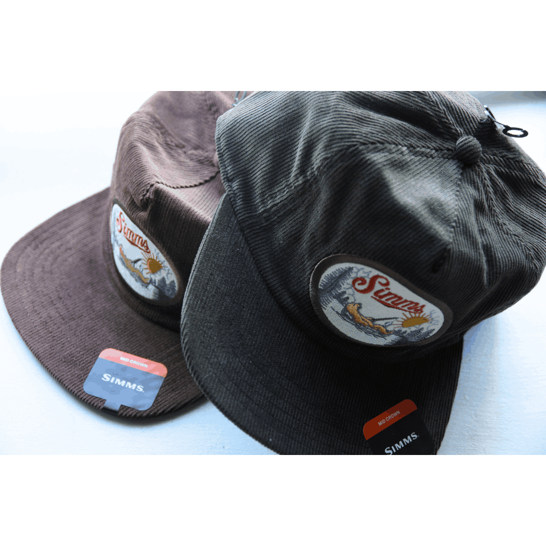 Daiwa キャップ 2個セット Amazon.co.jp: DAIWA 限定D-VEC