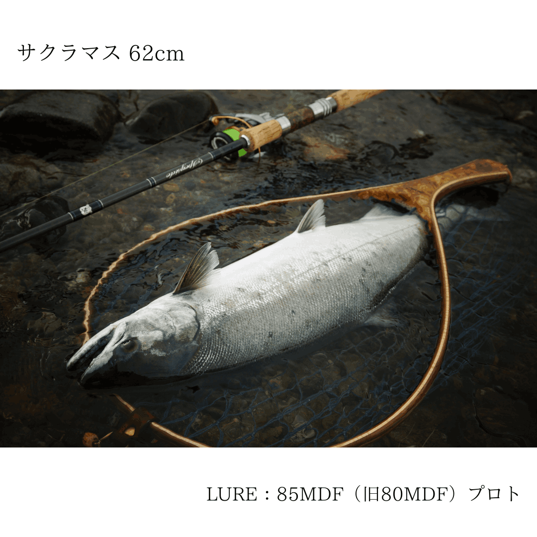 1/24在庫販売】85MDF 長良鮎（モノクローム） | Monochrome