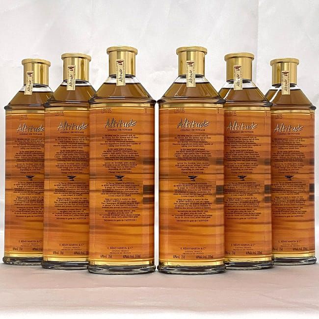 REMY MARTIN(レミーマルタン) 2本セット レミーマルタン アルチュード 6本セット ec-20132 REMY MARTIN