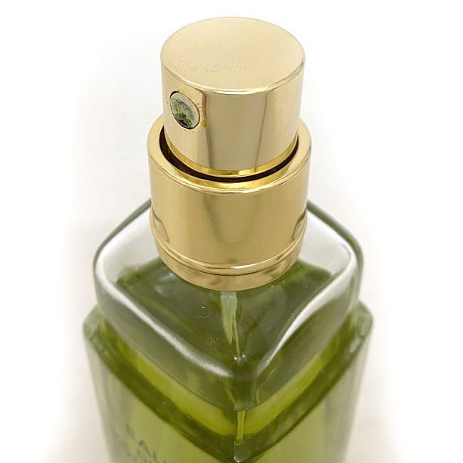 CHANEL　オードトワレット　Nº19  100ml  シャネル　香水 楽天市場】＼800円OFFクーポン／シャネル NO.19 オードトワレ