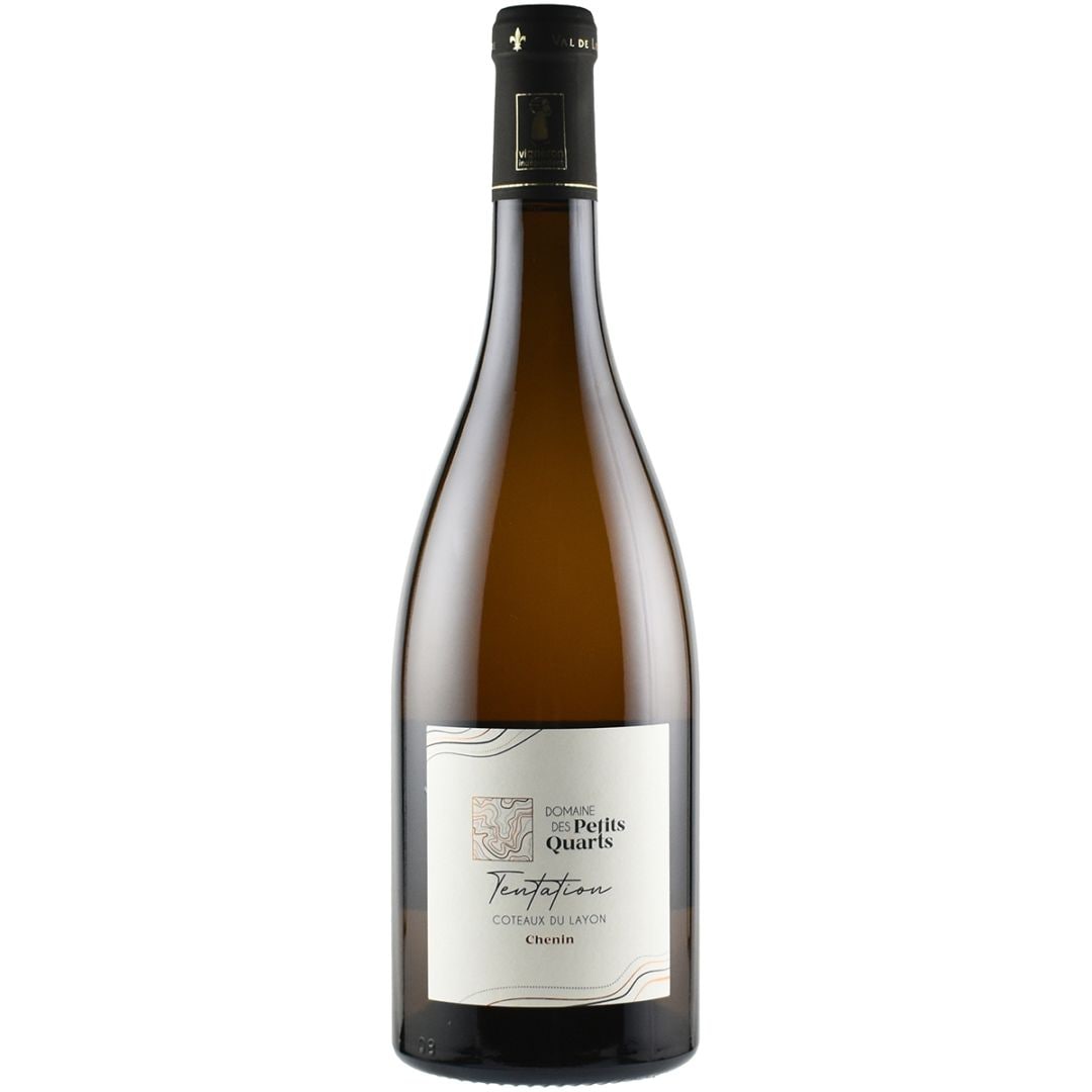 コトー・デュ・レイヨン 2023 / ドメーヌ・デ・プティ・カール | 色