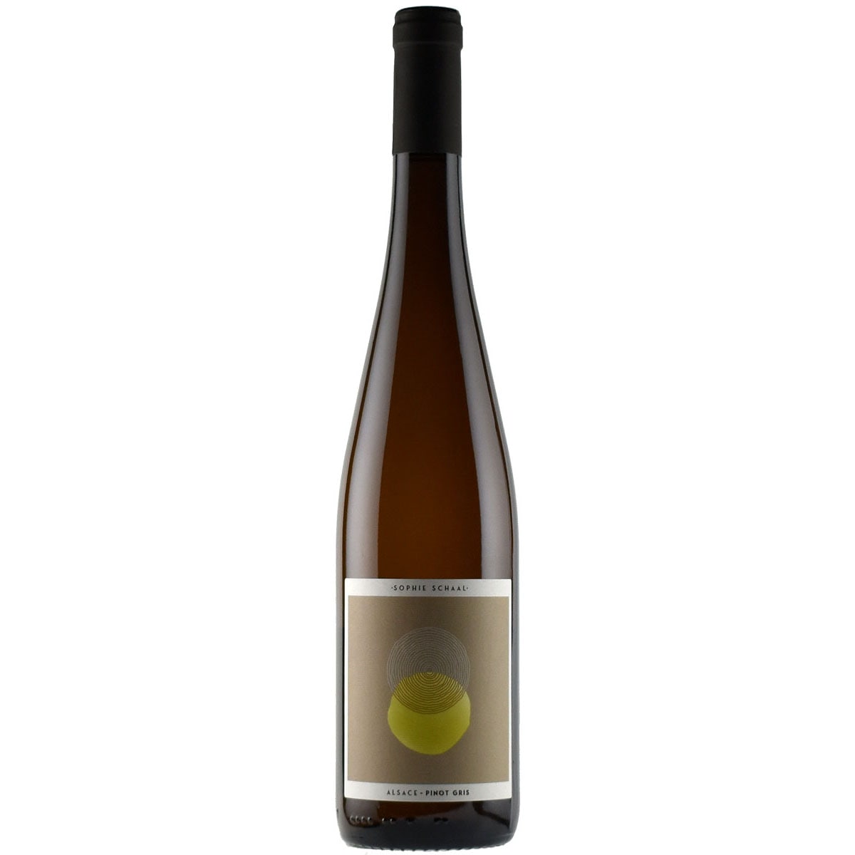 ピノ・グリ・ソフィー・シャール 2024 / ジュリアン・シャール