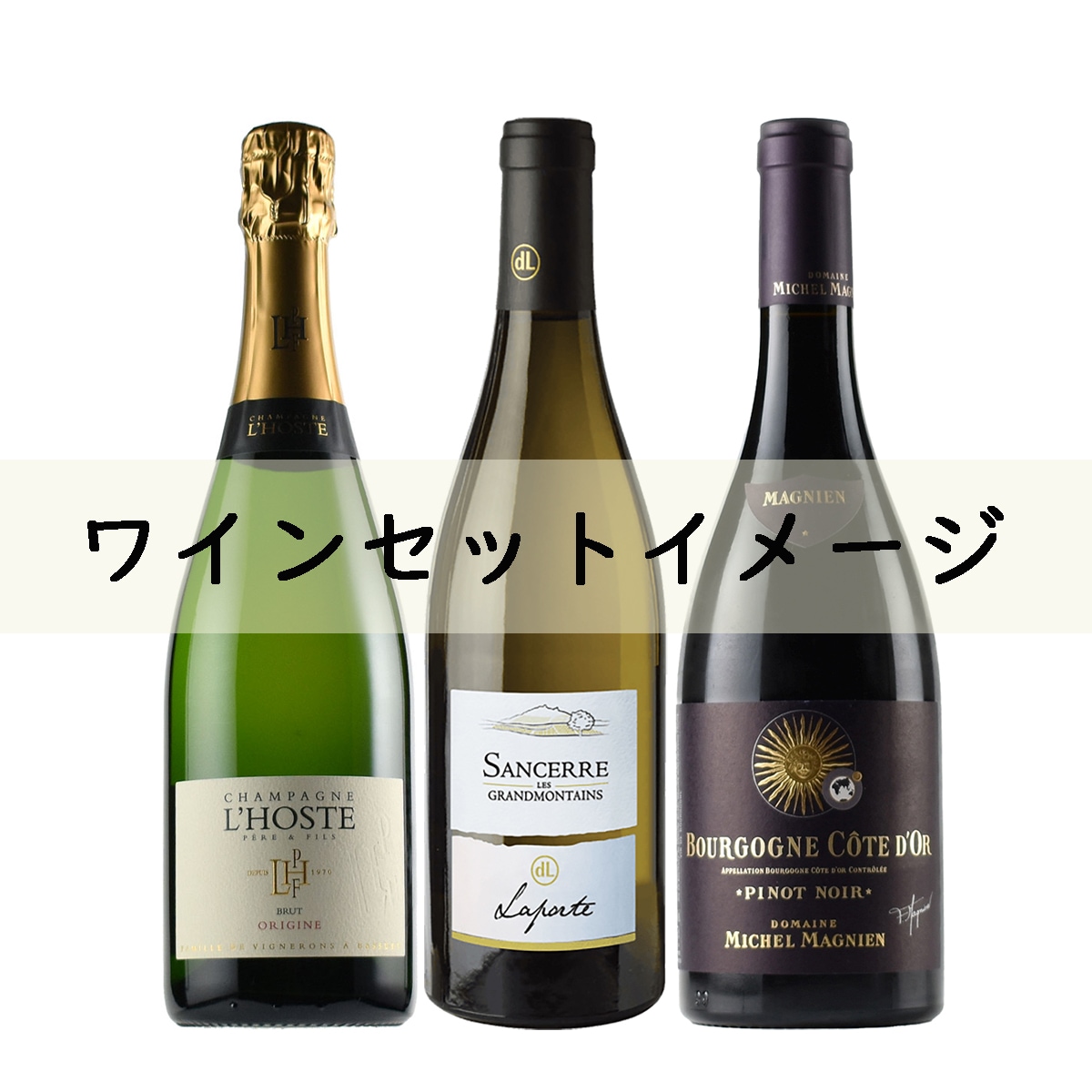 FICWINE コンシェルジュ ベーシックセット(送料込み)